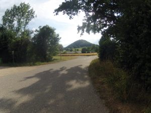 Zwischen Remigen und Mönthal