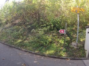 auf Radwegen unterwegs