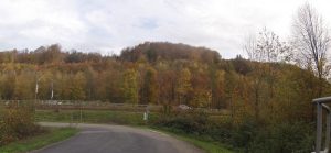 Habsburgerwald