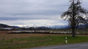 Aus dem Seetal zu den Alpen