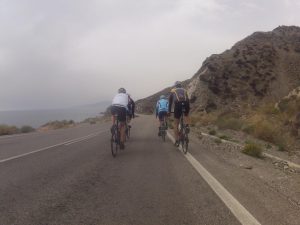 Küstenstrasse nach Villacricos