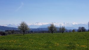 Alpenkamm im Frühling