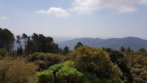 Aussicht von l'Albiol