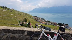 In den Rebbergen des Lavaux