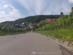 Rebberge in Ennetbaden