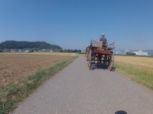 auf dem alten Bernerweg