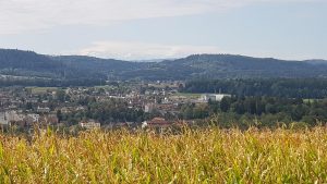 Blick zum verschneiten Alpenkamm