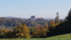 Schloss Wildegg