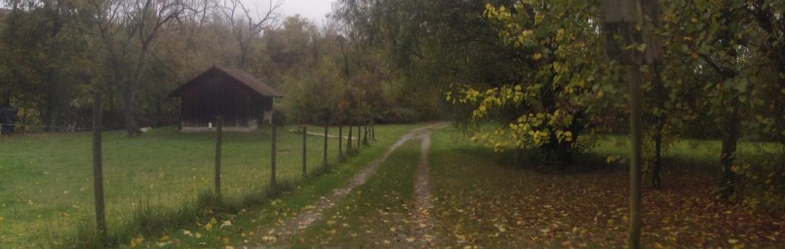 Auf dem Weg an die Bünz