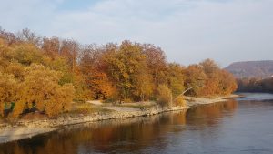 Herbstliches Aareufer