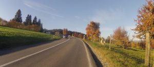 Herbstliche Farben am Strassenrand