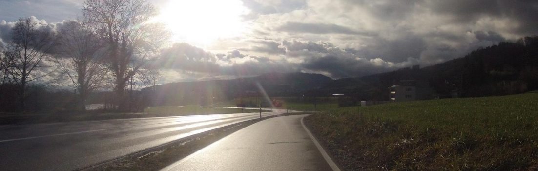 Schinznacherfeld im Gegenlicht