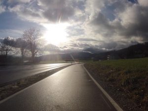 Schinznacherfeld im Gegenlicht