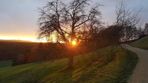 Sonnenuntergang oberhalb Auenstein