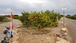 Unterwegs in der Region Valencia