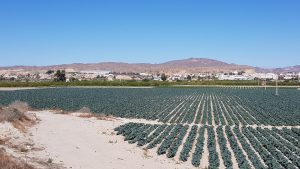 Cuevas del Almanzora