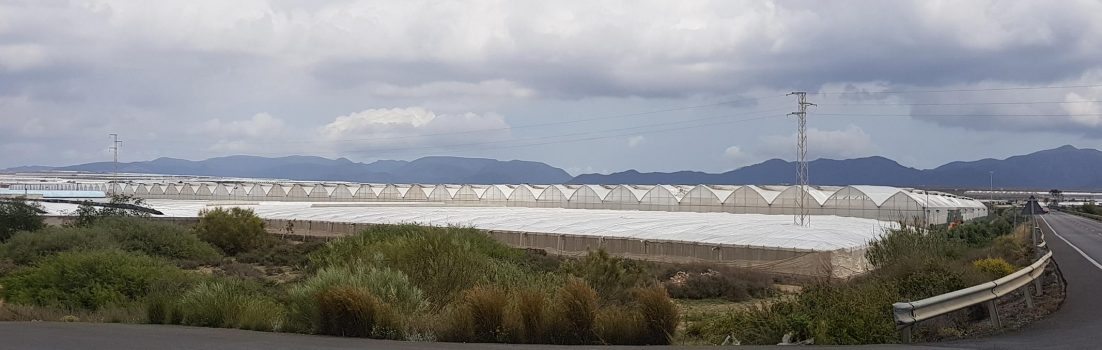 Mojacar-Almeria-Aguadulce, erster Teil des Heimweges
