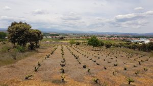 unterwegs in Kastilien und Leon