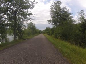 Radweg auf dem Aaredamm bei Schinznach-Bad