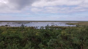 Auf einem Aussichtsturm im Naturschutzgebiet