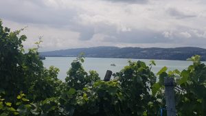 Hallwilersee bei Seengen