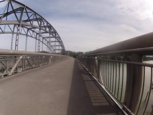 Mündung der Aare in den Rhein