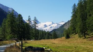 Rosegtal und Roeseggletscher