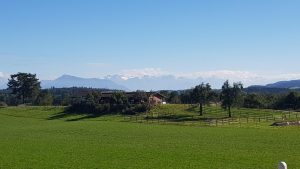 Blick vom Bünztal an den Alpenrand