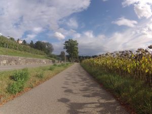 Radweg von Niederrohrdorf nach Busslingen