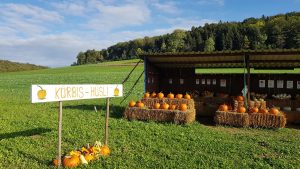 Kürbis-Hüsli bei Hertenstein