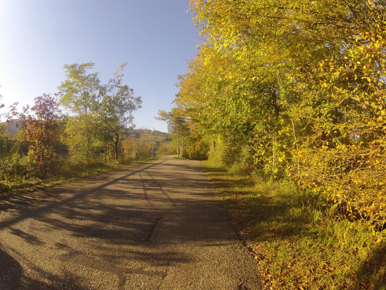 Herbstlicher Radweg auf dem Damm der Aare bei Schinznach-Bad