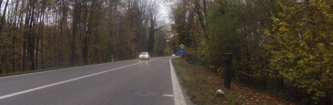 farbiger Wald bei Rohr