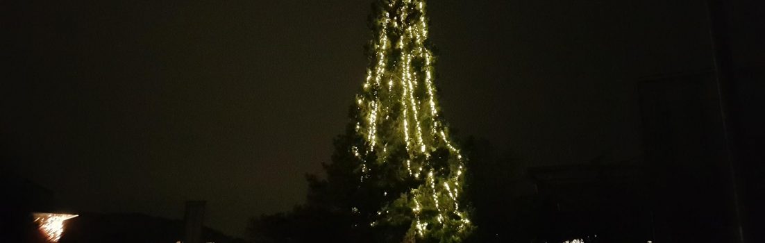 Weihnachtsbaum