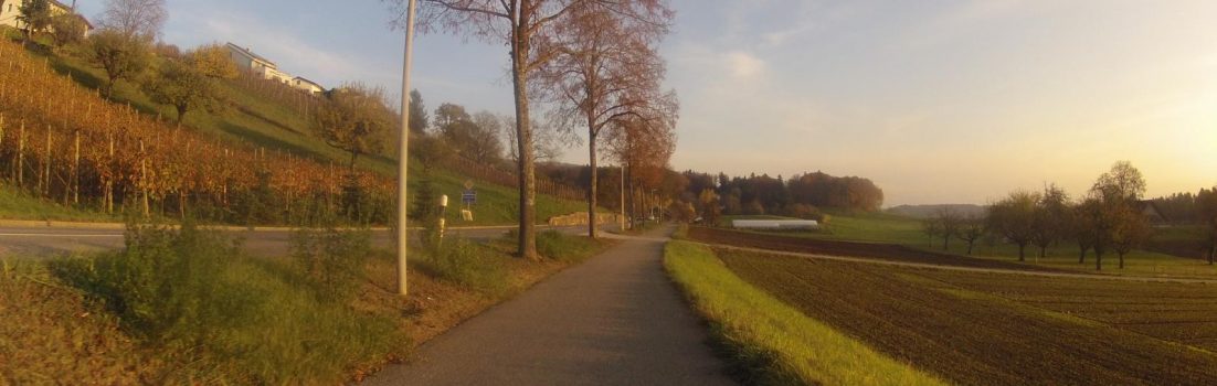 Radweg zwischen Niederrohrdorf und Busslingen
