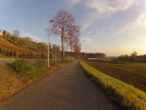 Radweg zwischen Niederrohrdorf und Busslingen