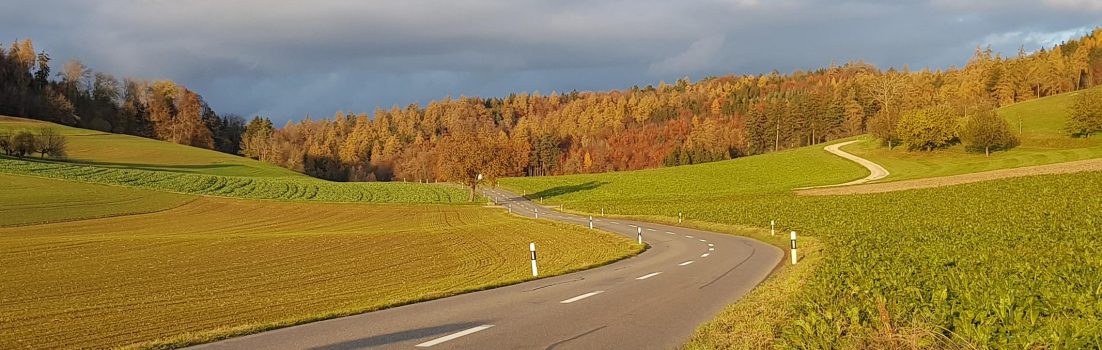Herbstlicher Wald, oberhalb Ammerswil
