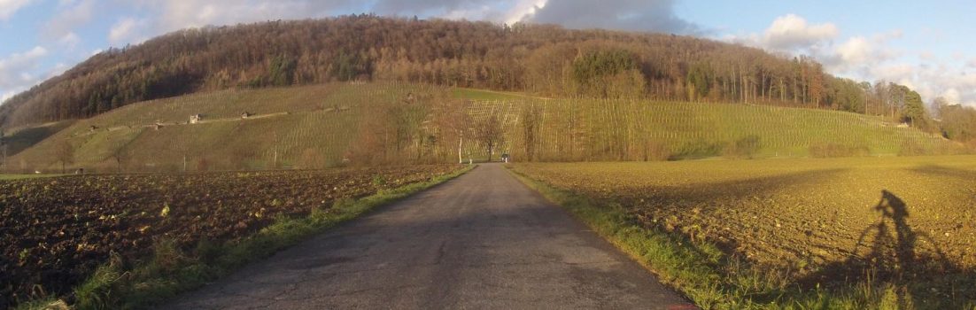 Radweg von Rüfenach nach Remigen