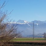 Blick in die Alpen, zwischen Uznach und Tuggen