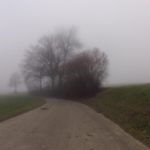 Fahrt im Nebel