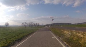 Birrfeld