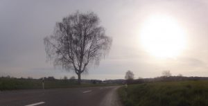 von Gnadenthal nach Niederwil