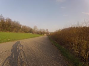 im Bünztal zwischen Möriken und Othmarsingen