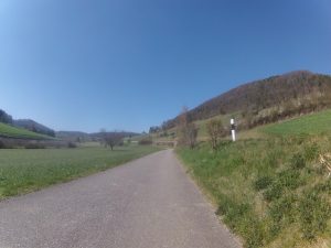 von Remigen nach Mönthal