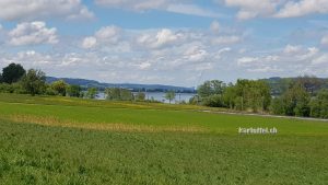 Sempachersee bei Nottwil