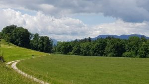 In der Nähe von Murgenthal