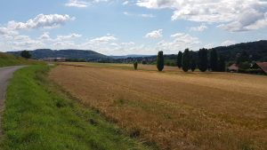 In der Nähe von Etzgen