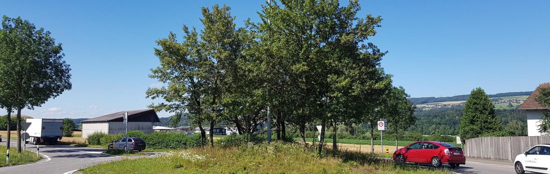 Reusstal und Birrfeld