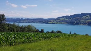 Hallwilersee