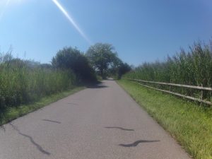 Rheintal-Neeracherried-Furttal