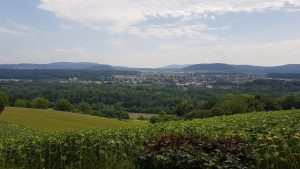 Aussicht über das Aaretal in Richtung Seetal